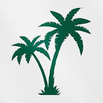 Plastic Tree ステッカー Amazon.com - Transparent Decal Stickers of A Palm Tree